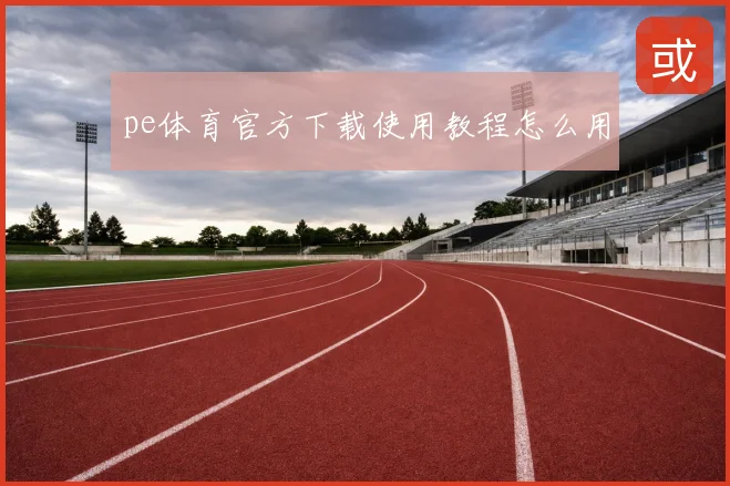 pe体育官方下载使用教程怎么用