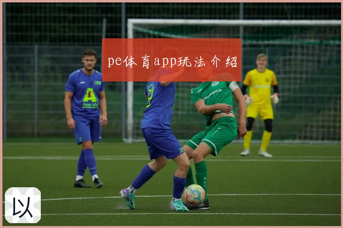 pe体育app玩法介绍